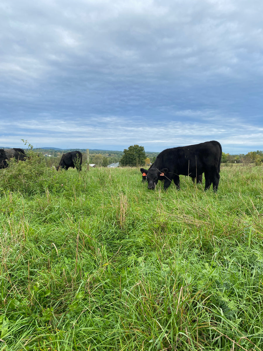1/4 BEEF SHARE DEPOSIT Slate River Farms