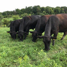 Load image into Gallery viewer, GRASSFED GROUND BOXES