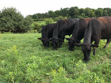 Load image into Gallery viewer, GRASSFED GROUND BOXES