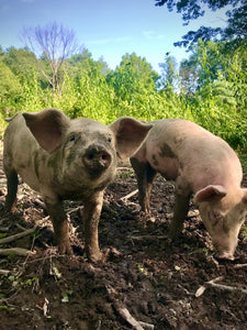 FRESH PORK BELLY