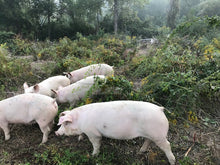 Load image into Gallery viewer, FRESH PORK BELLY
